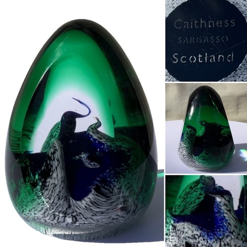 Rare caithness sargasso - caithness,