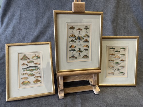 Vintage illustrated prints - illustrated,