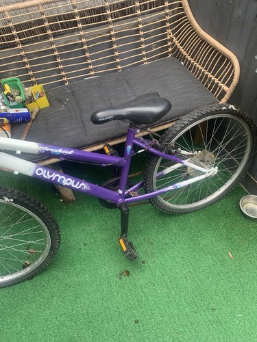 Raleigh kids bike - kids,