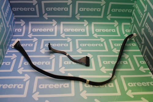 Internal ribbon - lg,