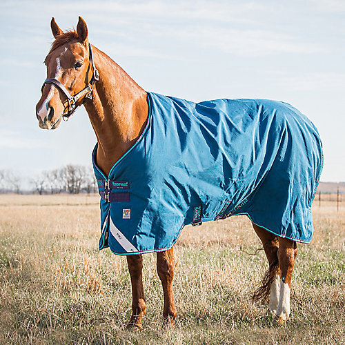 Rhino original turnout - rhino,