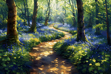 Bluebell Woodland Forest Canvas Picture Print Wall Art