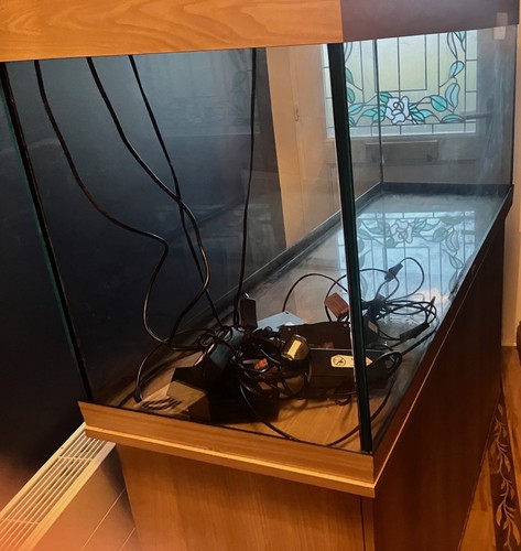 Juwel rio 450 aquarium - aquarium, with