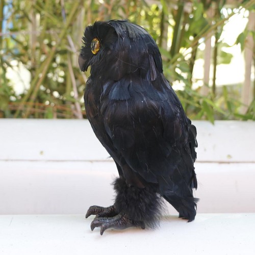 Artificial owl bird feather - artificial,