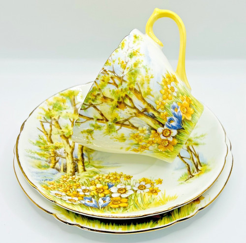 Shelley daffodil time - daffodil, 13370