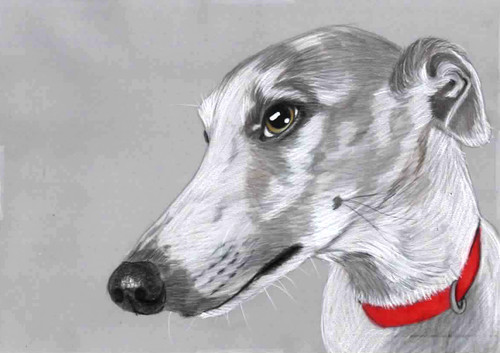 Original colour pencil artwork