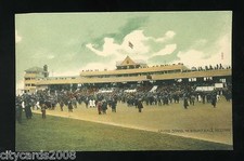 NEWBURY  Berkshire Racecourse