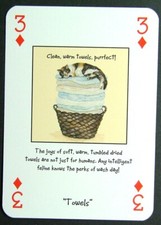 1 x playing card Magnificent