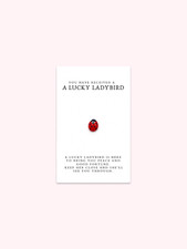 Lucky Ladybird Brooch Pin