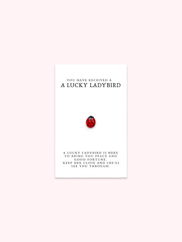 Lucky ladybird brooch pin - lucky,