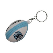Glasgow Warriors Rugby Sponge