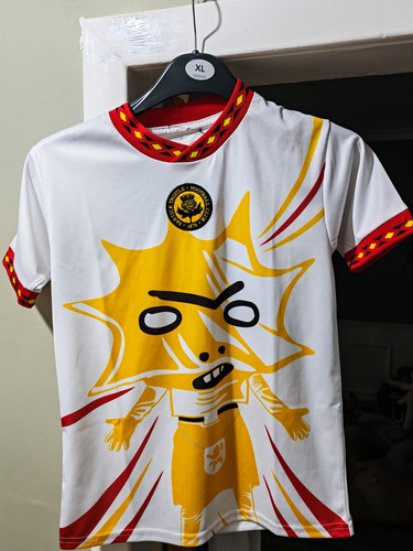 Partick thistle kingsley shirt - thistle,