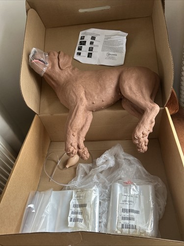 Veterinary cpr dog - veterinary, manikin