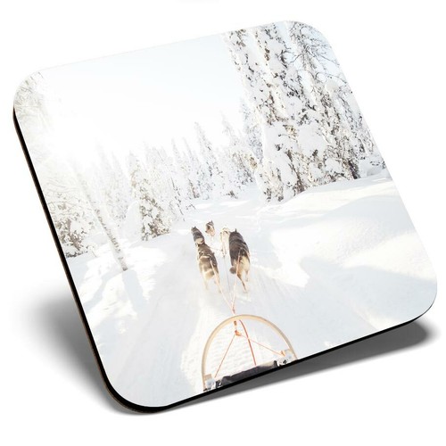 Square single coaster dog - square,