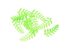 50 - 100 x 2.5cm  fern leaves
