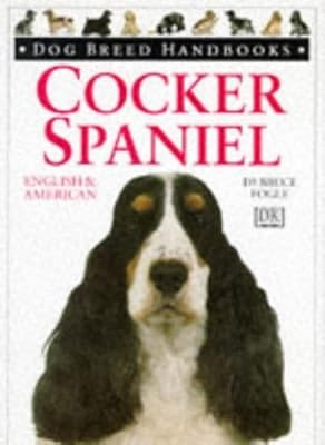 Cocker spaniel english - spaniel:,