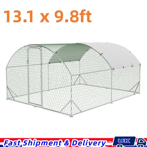 Walk chicken run - walk,