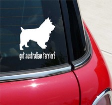 GOT AUSTRALIAN TERRIER