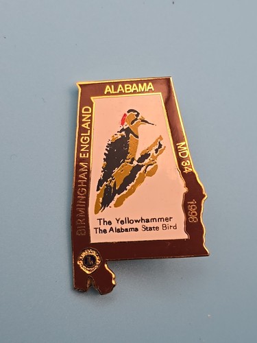 Pin badge lions club - -,