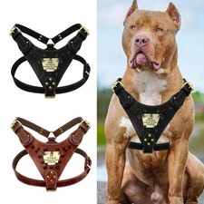 Leather Large Dog Harness w/