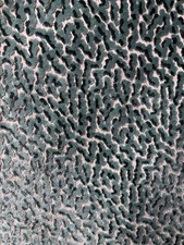 Colefax and Fowler Fabric