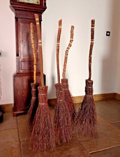  Witches broom real authentic