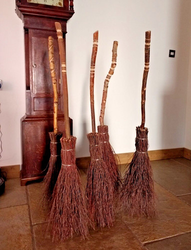 Witches broom real authentic - ,