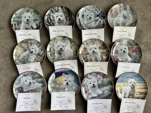Westies payl doyle decorative - payl,