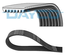 DAYCO 7PK1640 V-Ribbed Belt