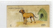 (Gd5562) Cope, Dogs of the World, (Scandinavian), #2 English Mastiff 1912 G
