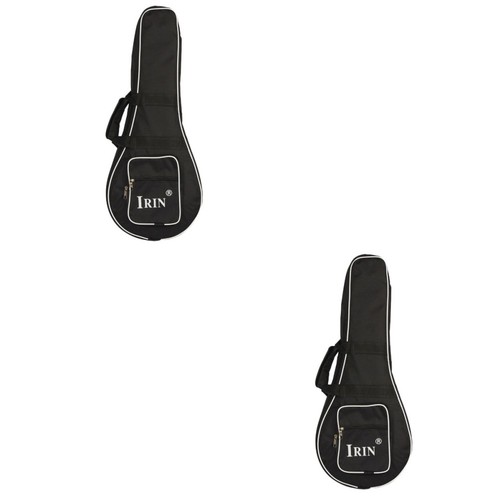 Black mandolin storage - mandolin,