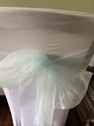 Aqua baby blue organza - blue,