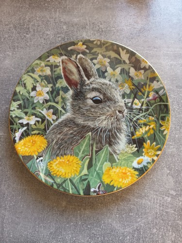 Wedgwood woodland wildlife - wedgwood,
