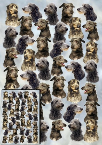 Deerhound dog gift wrapping - deerhound,