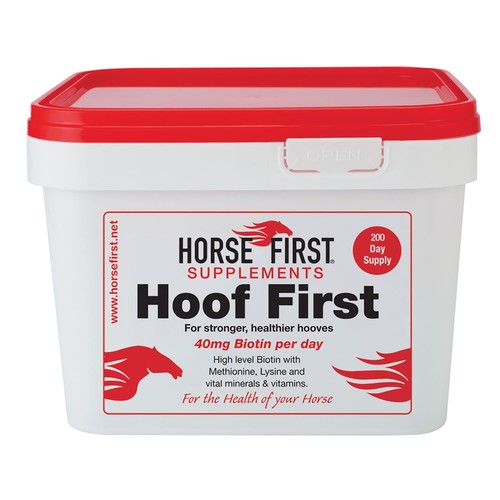 Horse first hoof - horse,
