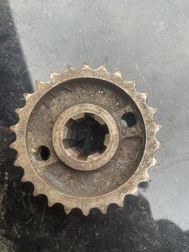 Triumph vintage front - front, primary