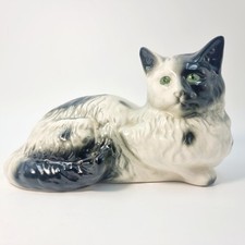 Black & White Cat with Green