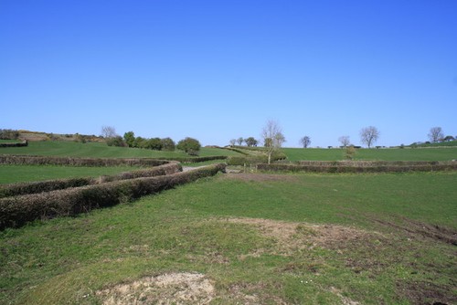 Photo 6x4 pasture - 6x4, land