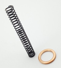 Cam Chain Tensioner Spring