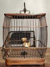 15.6 " Collect China