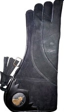 Heavy Duty Eagle, Falconry