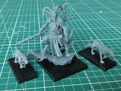 Highlands miniatures feral - highlands,