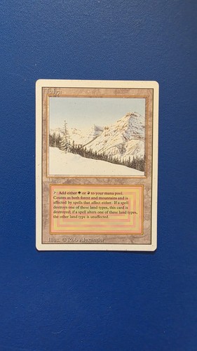 Mtg taiga revised - taiga, land