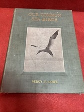 Our Common Sea Birds