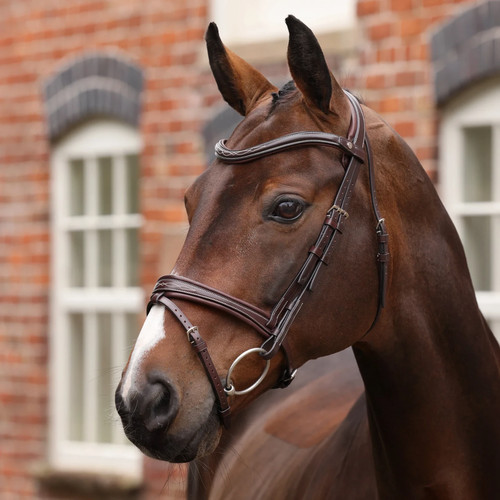 Shires velociti lusso opus - velociti,