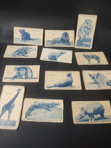 Turf cigarette cards zoo - turf,