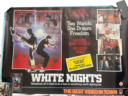 White nights video shop quad - nights,