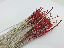 VIOLIN G String 4/4 Gut