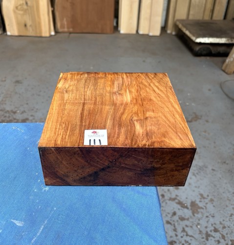 Olivewood 8x8x3 exotic - 1,