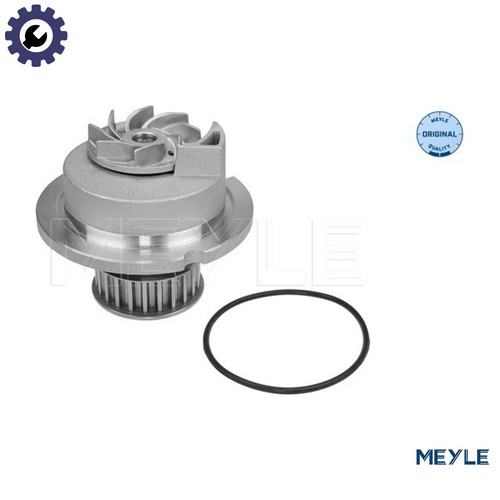 Water pump engine cooling 613 - water,